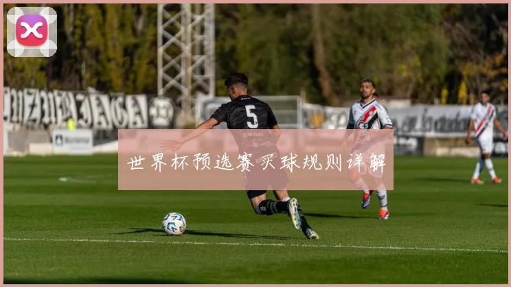 世界杯预选赛买球规则详解